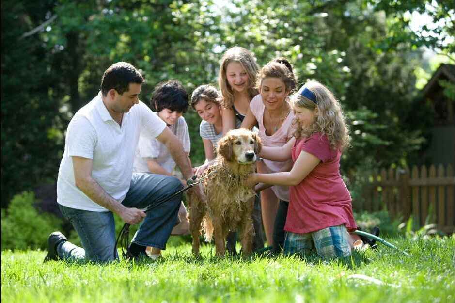 Family Fun with Their Beloved Golden Retriever A family, including a man, several children, and a golden retriever dog, interacting happily on a sunny green lawn