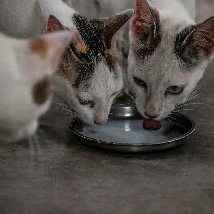 email_and_blog-blog-image-750x750 (7) (2)