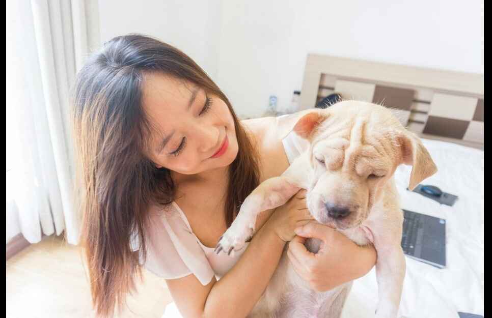 Woman holding a wrinkly puppy while smiling in a bright bedroom