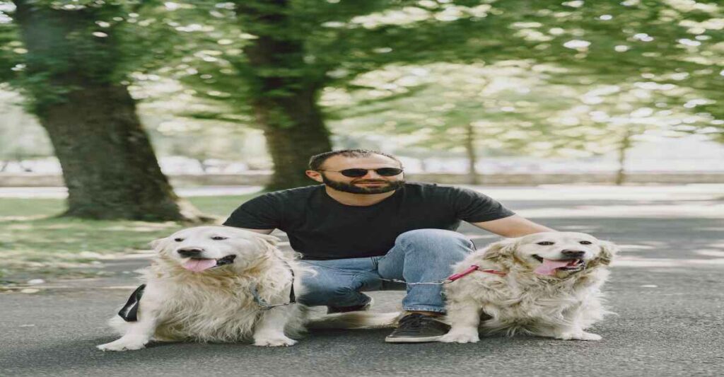 "Man and His Golden Companions" "A man wearing sunglasses and a dark t-shirt crouches between two golden retrievers on a paved path in a park. Both dogs are sitting, looking towards the camera with their tongues slightly out, and are on leashes attached to the man's leg. Green trees are in the background.