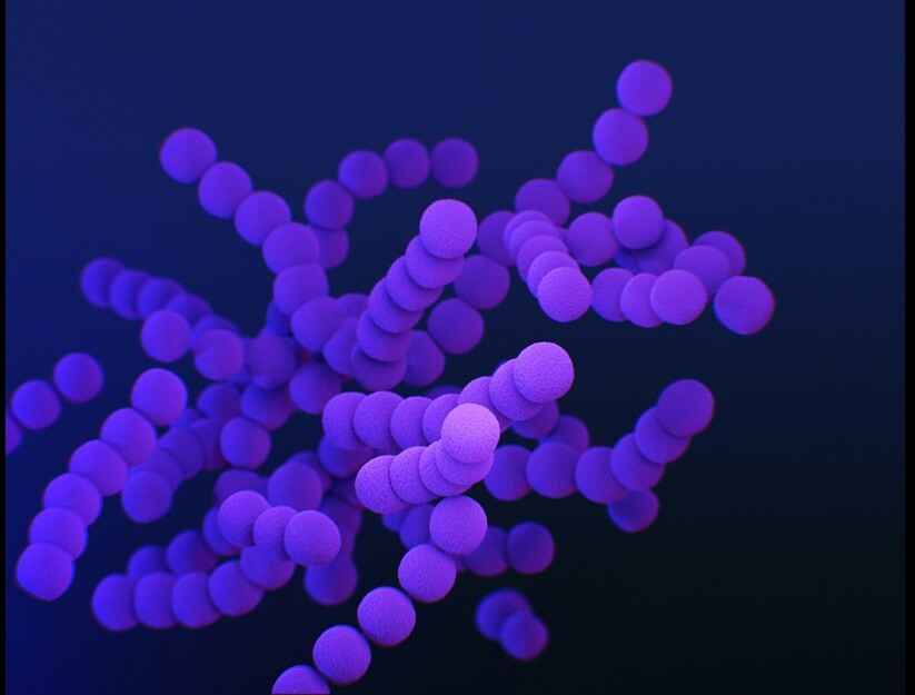 Streptococcus Bacteria A 3D rendered microscopic image of purple, spherical Streptococcus bacteria forming chains. The bacteria are floating in a dark blue, almost black background. The image highlights the characteristic chain-like formation of this type of bacteria.