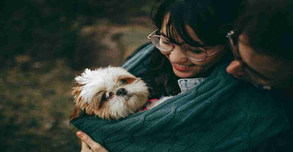 A smiling young woman holds a small, fluffy Shih Tzu dog, showing a clear example of the bond that makes pet insurance explained a necessity for many owners.