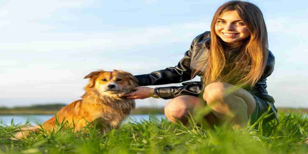 A smiling young woman in a black leather jacket squats in a green field, gently petting a fluffy, tan and white dog. The dog looks directly at the camera. In the background, a body of water and the setting sun are visible. This image can be used to illustrate how to improve dog gut health.